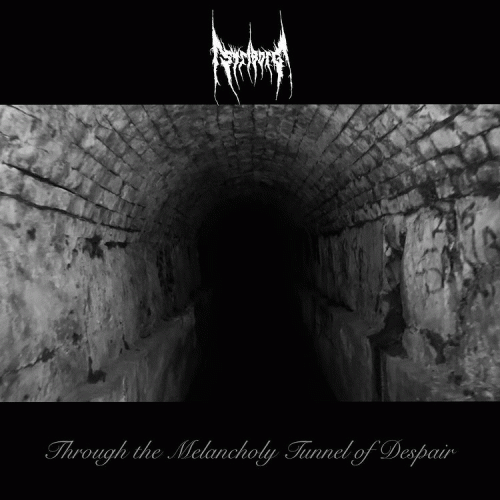 Striborg : Through the Melancholy Tunnel of Despair (Single)
